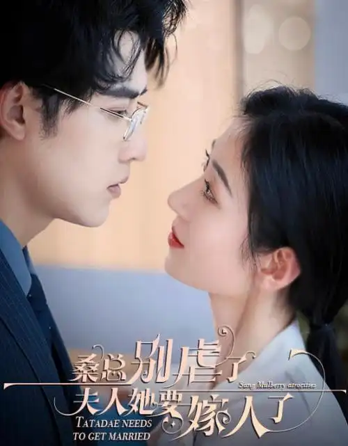 长夜灯火 热播电视剧全集在线观看